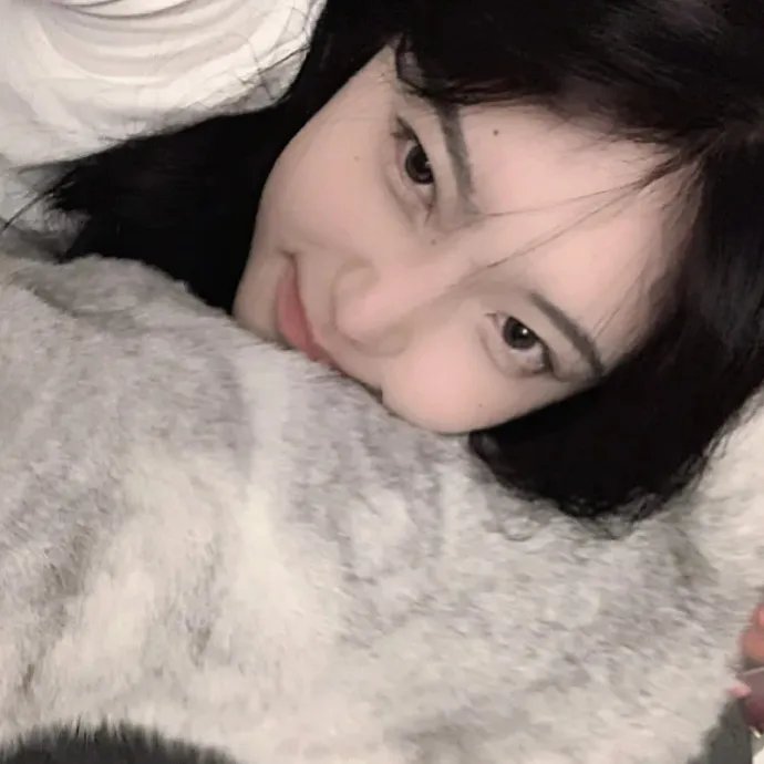 败犬女王粤语